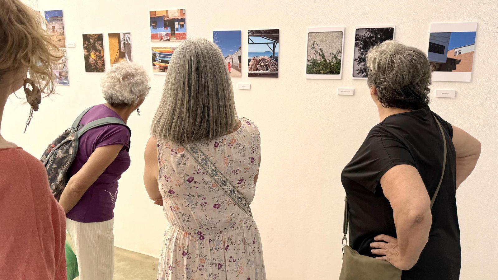 Desarrollo del taller.