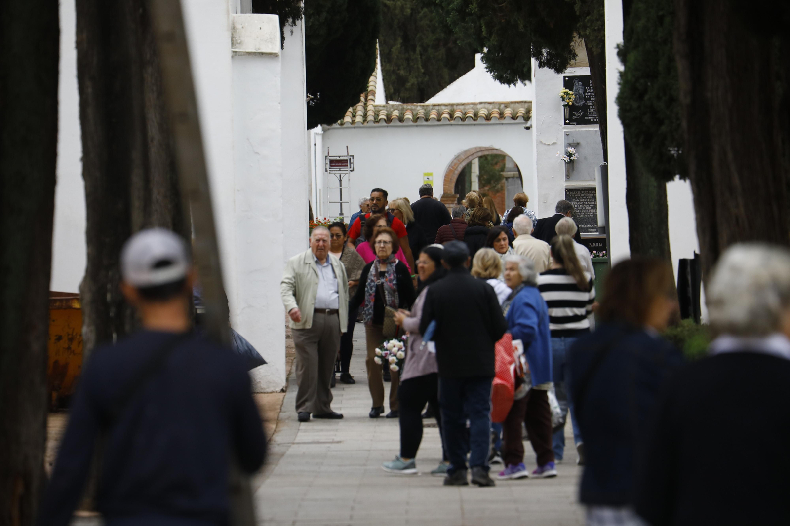 Las imágenes de los preparativos de los cementerios de Córdoba por el día de Todos los Santos