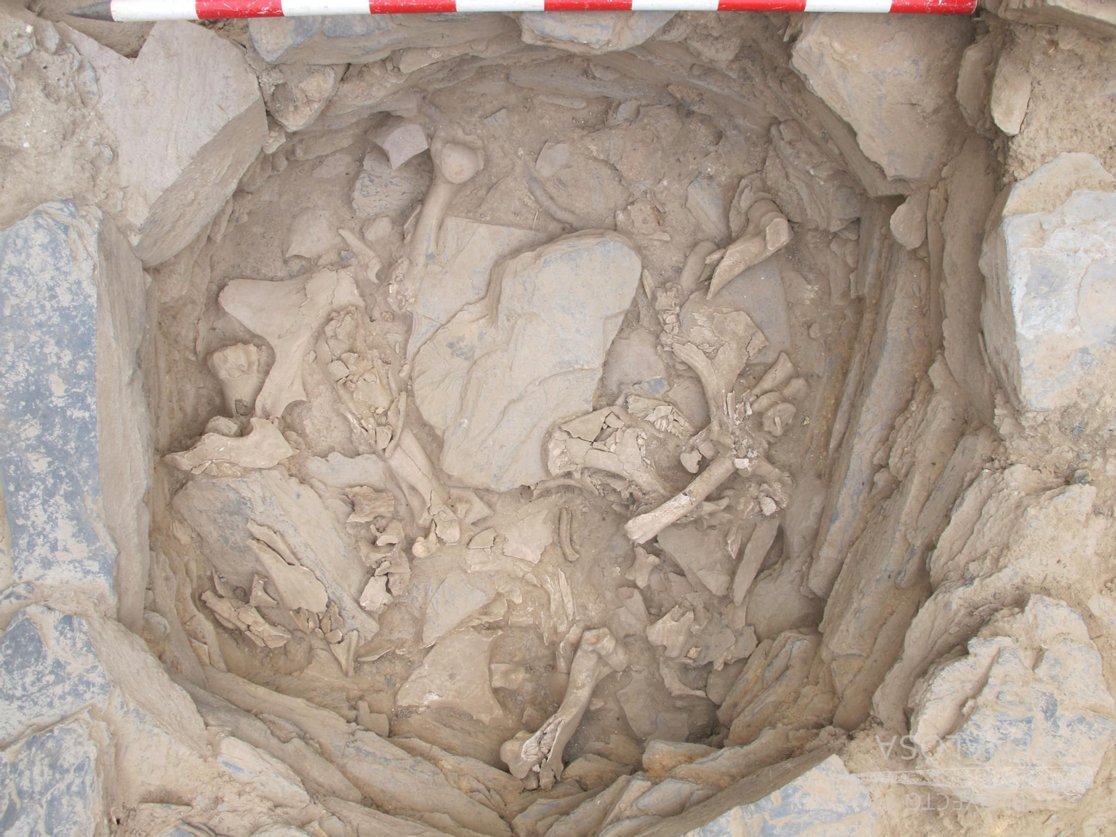 Imagen de la investigación.