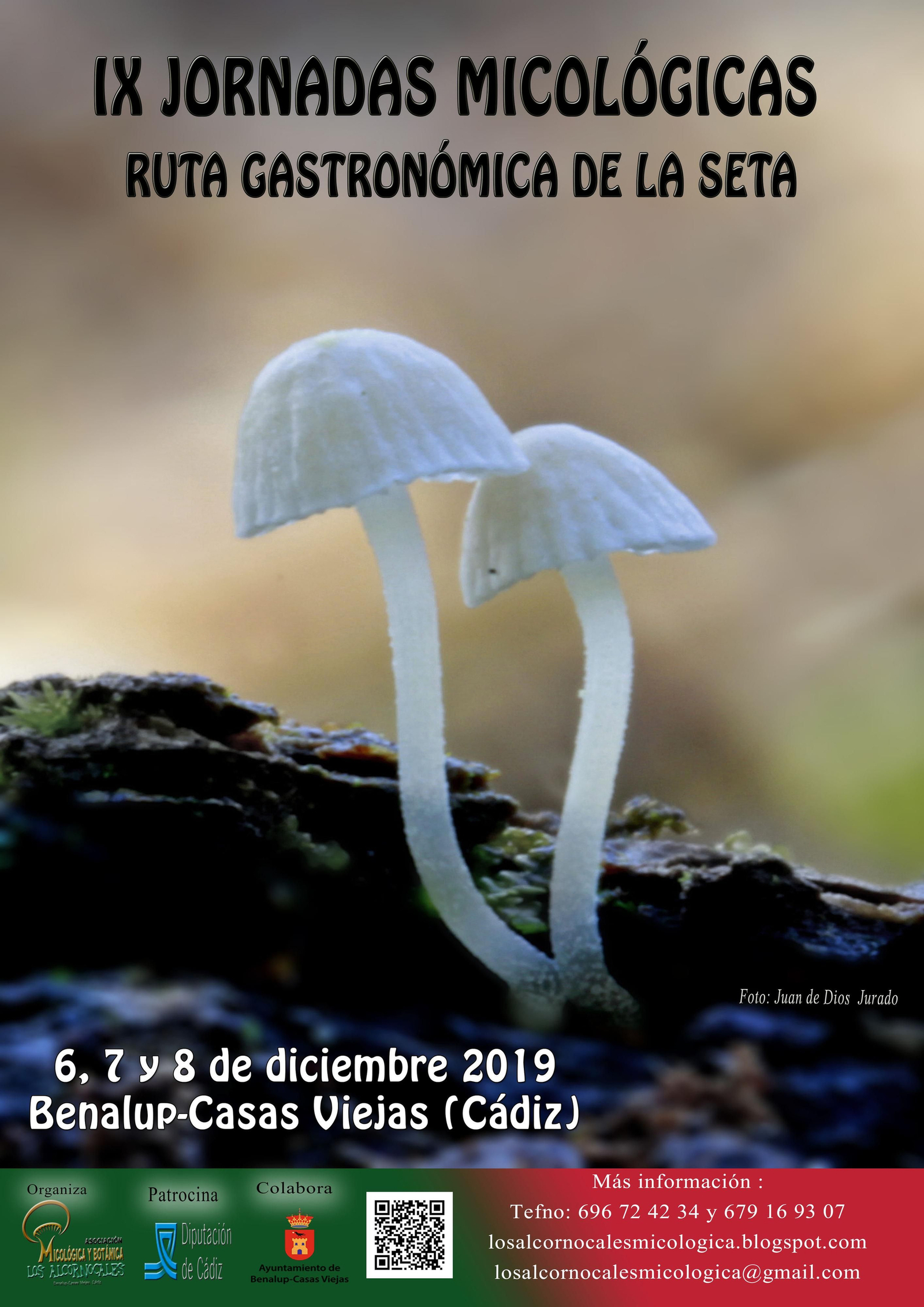 Cartel de las jornadas micológicas de Benalup-Casas Viejas, con foto de Juan de Dios Jurado.