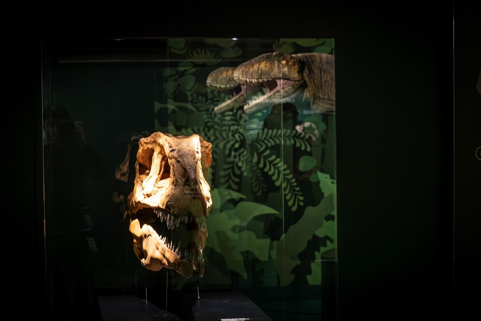 Así se han apoderado los dinosaurios del Parque de las Ciencias de Granada