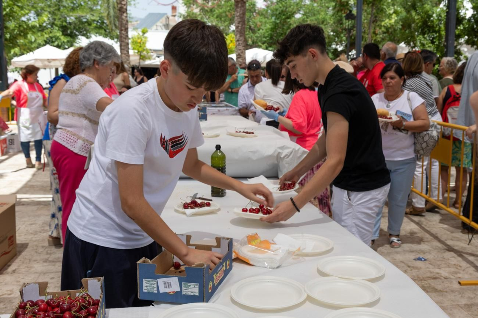 XL Fiesta de la Cereza del Castillo de Locubín