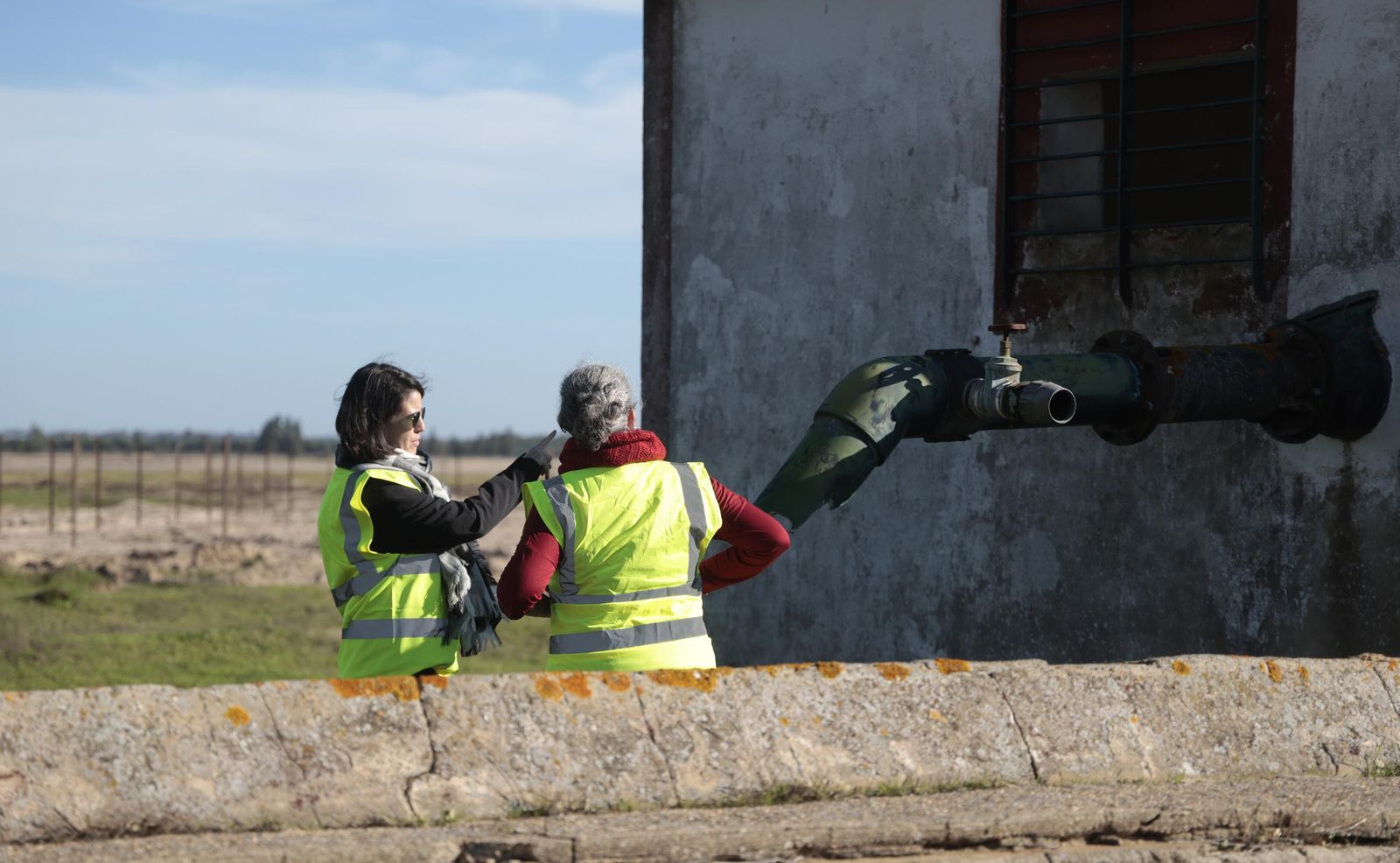 La renaturalización de Los Mimbrales: imágenes de la transformación del espacio natural