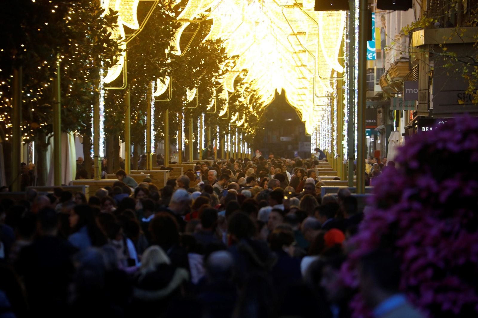 El mejor ambiente en el centro de Córdoba por Navidad, en imágenes