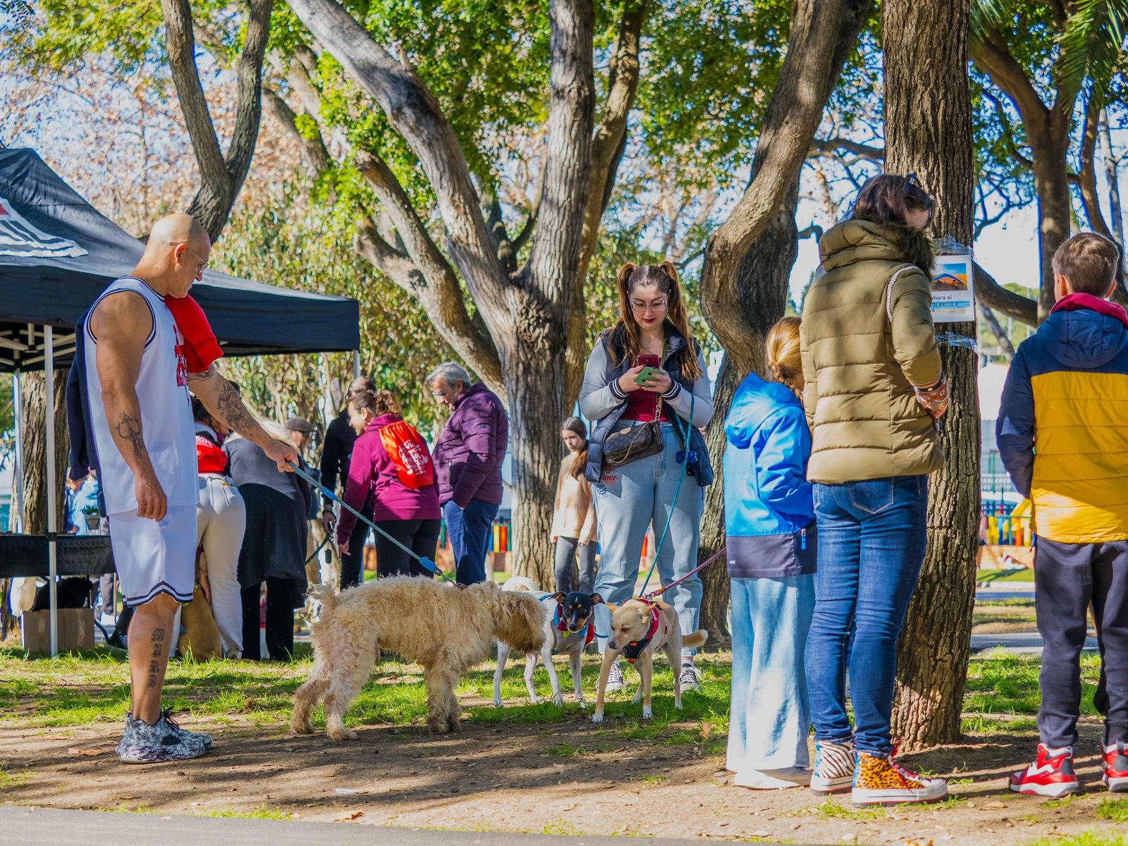 Las imágenes de San Antón 2025 en San Fernando