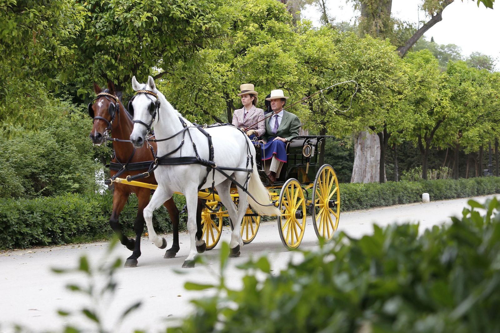 El concurso de enganches, en imágenes
