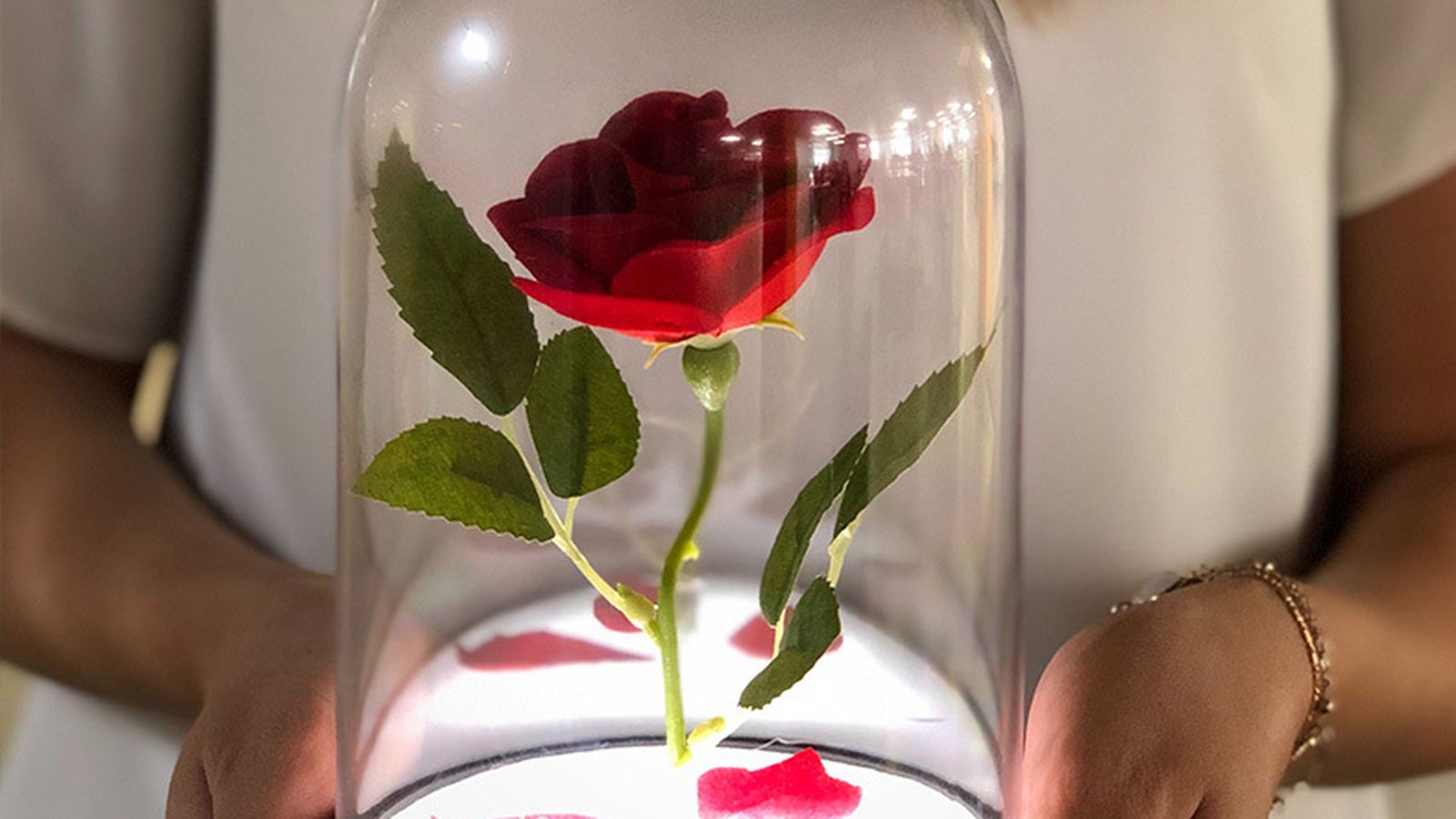 La rosa de la Bella y la Bestia, un regalo a la altura.