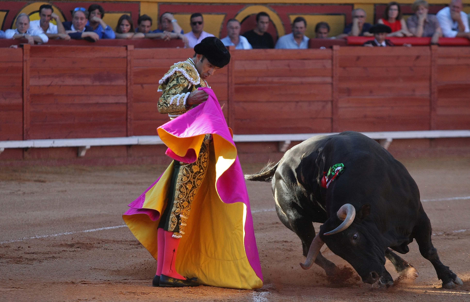 Las imágenes de la reaparición de José Tomás en Algeciras