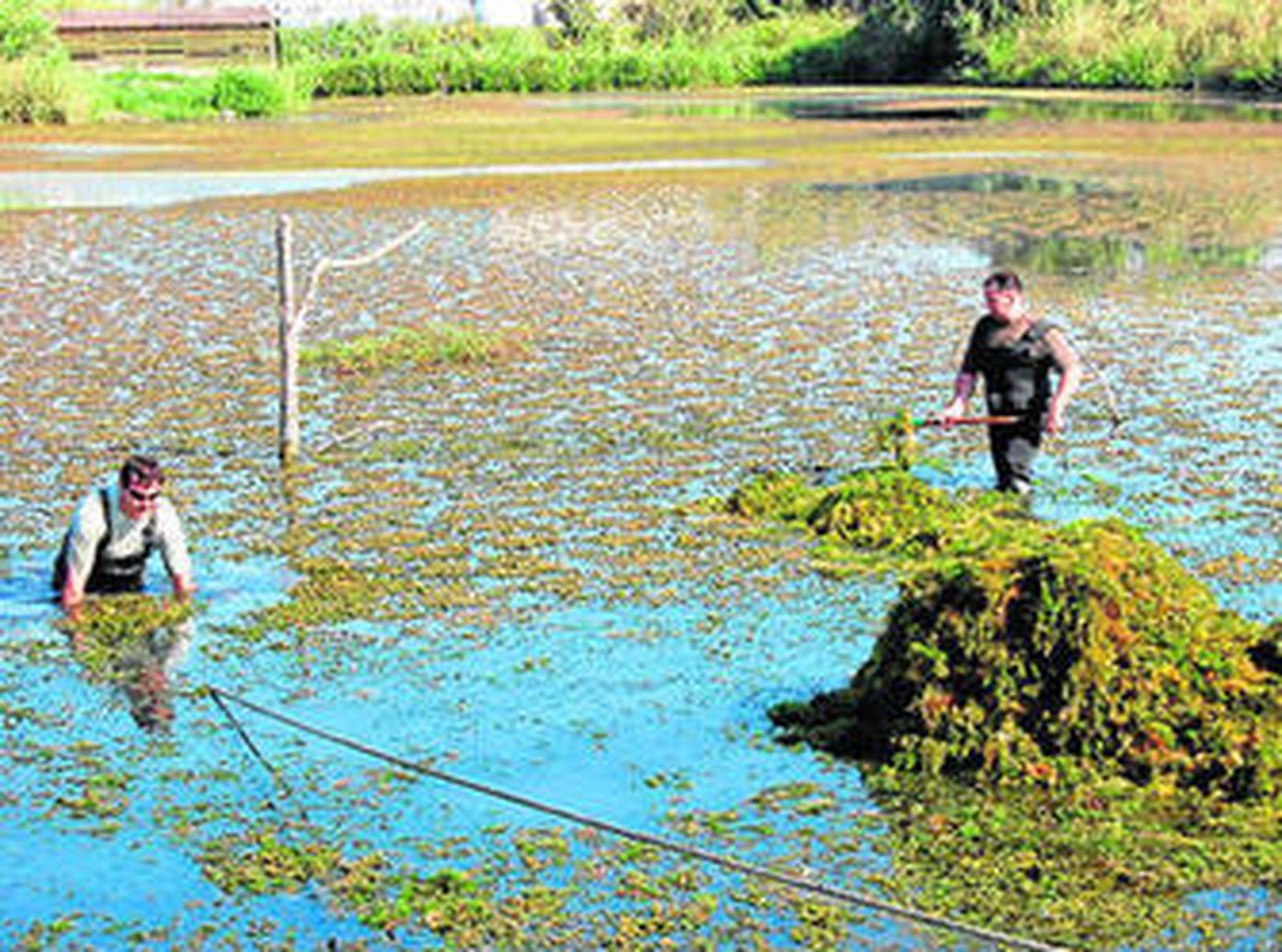 Dos instantáneas del momento en el que los voluntarios trabajaban en la limpieza.
