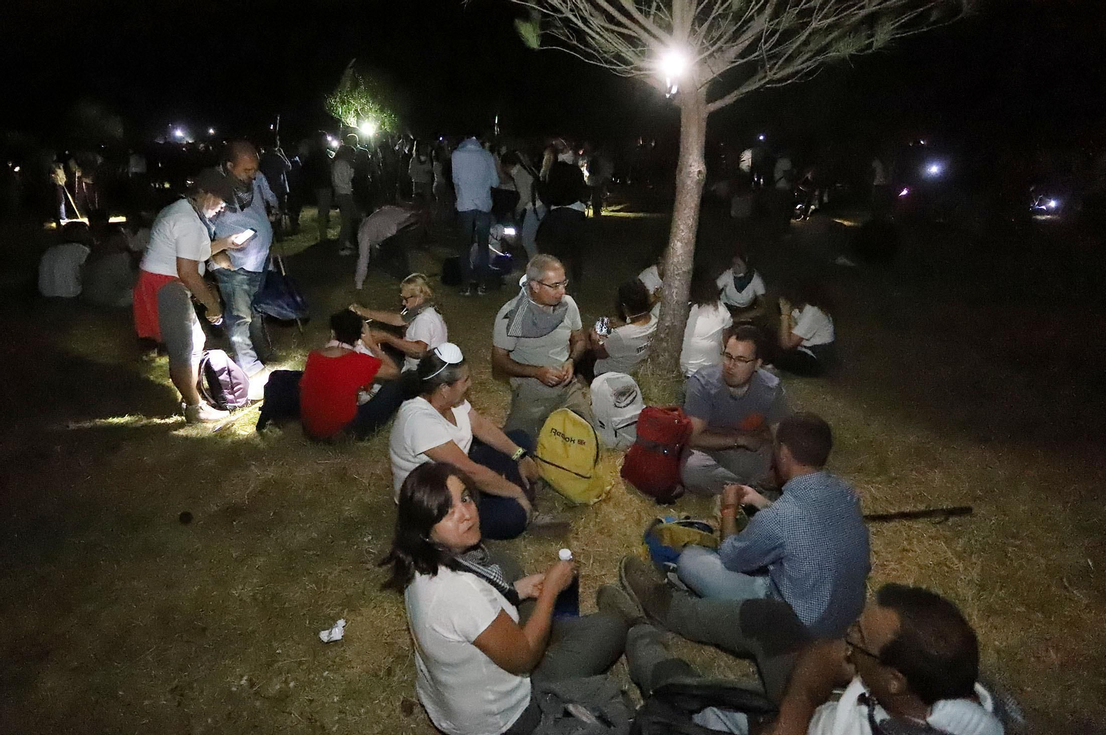 Recuerda las imágenes de la Venida de la Virgen del Rocío a Almonte en 2019