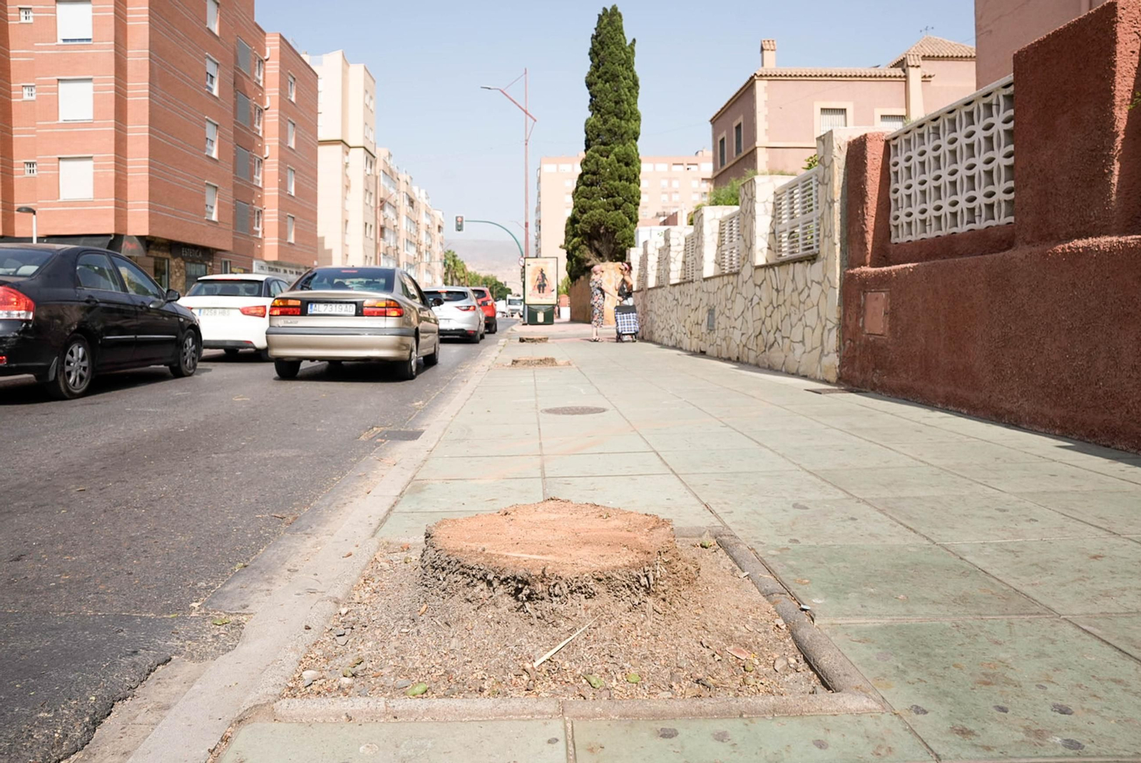 Completan la tala de palmeras de la avenida Cabo de Gata