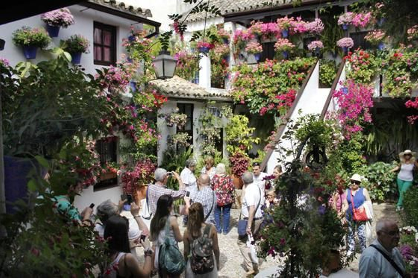 Foto: Alex Gallegos / Macarena Gassin