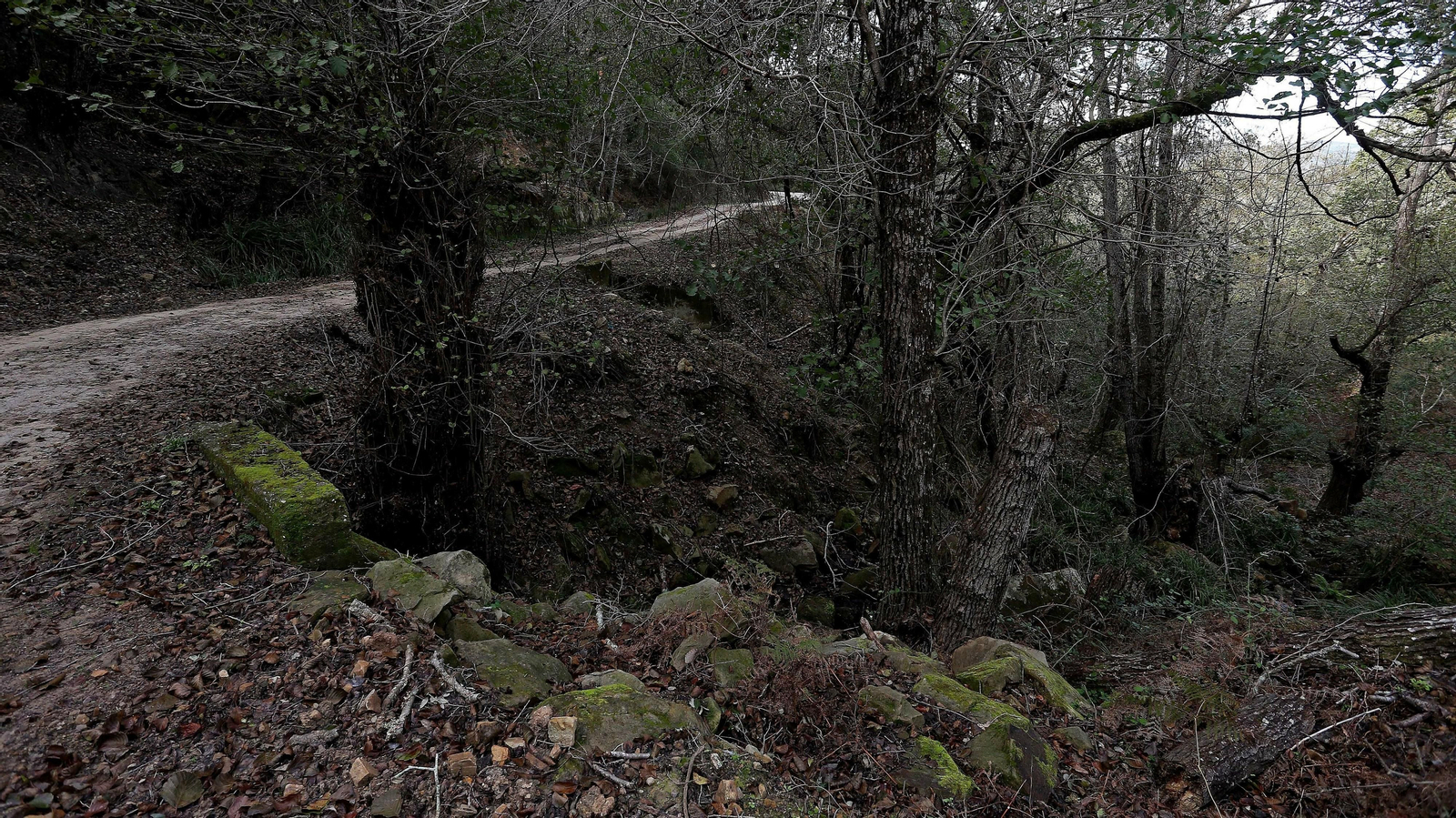 Las mejores fotos de la finca La Almoraima