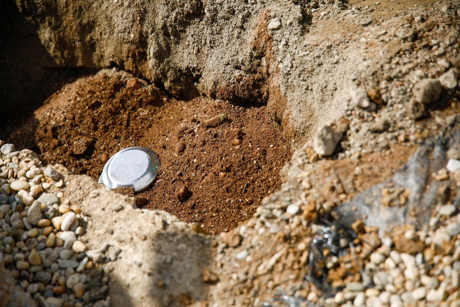 Las imágenes de la plantación de un olivo y el entierro de una cápsula del tiempo