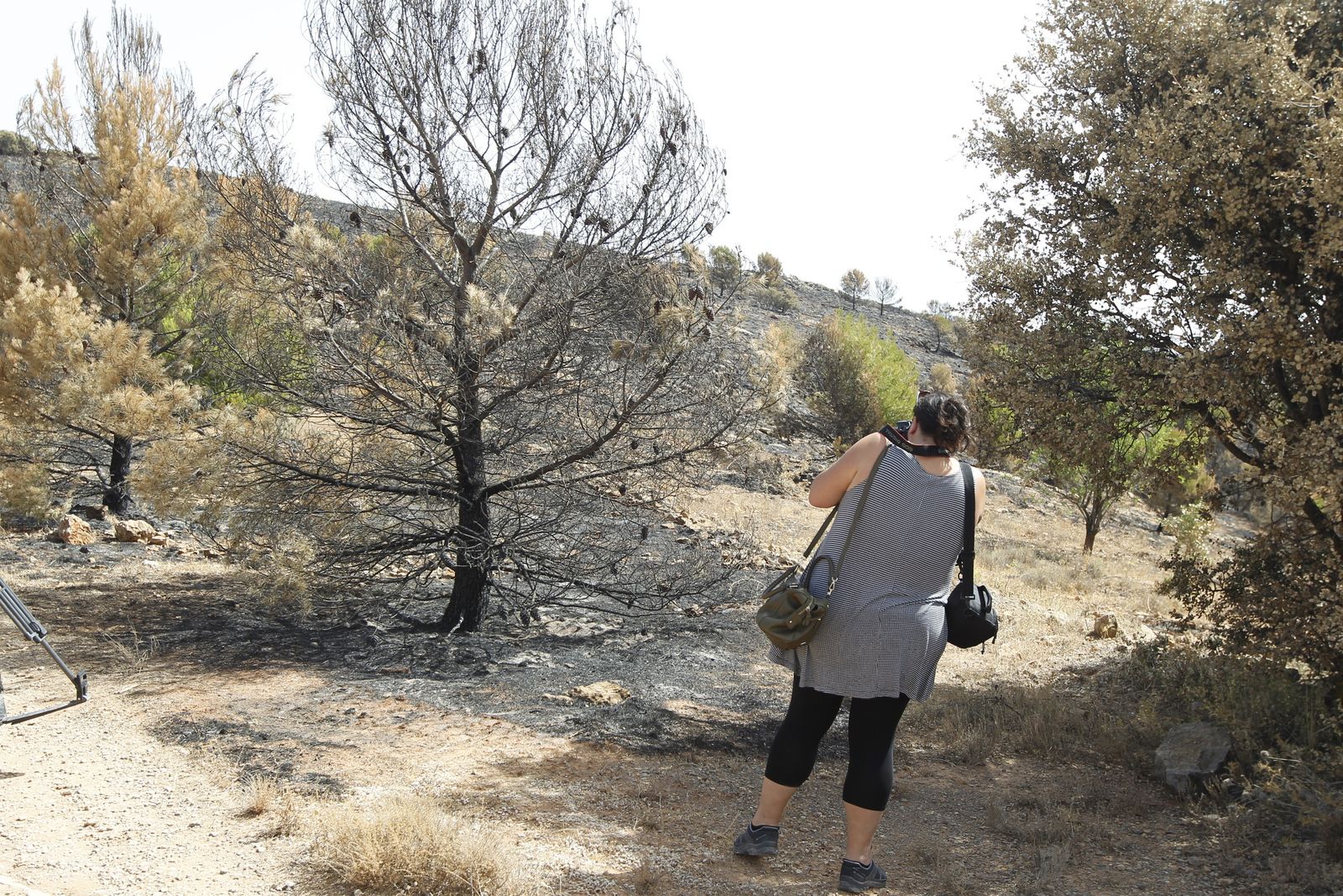 Fotogalería incendio extinguido Sierra de Gádor