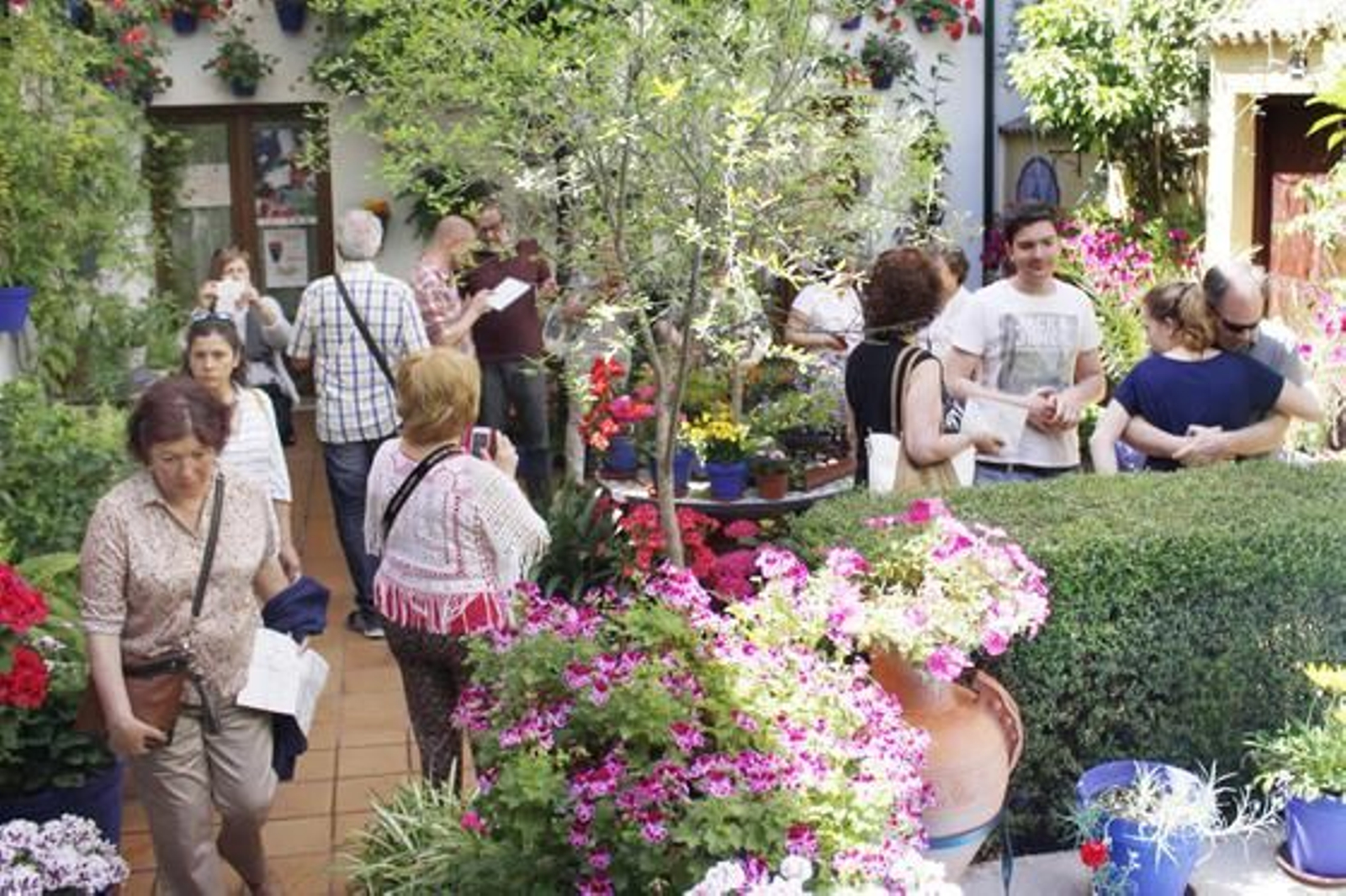 Foto: Alejandro Gallegos