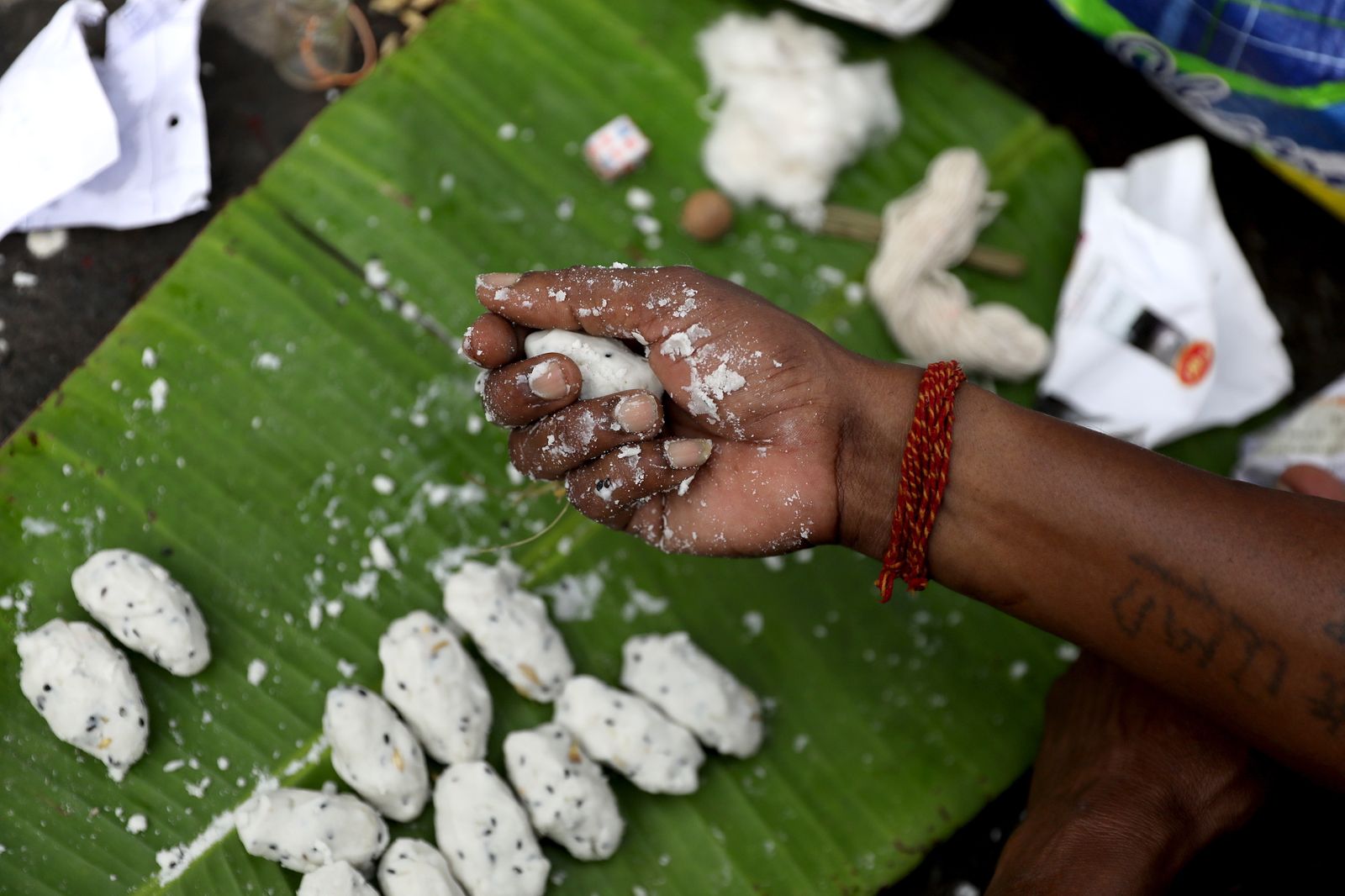 El Rito del Tarpan de la India en imágenes