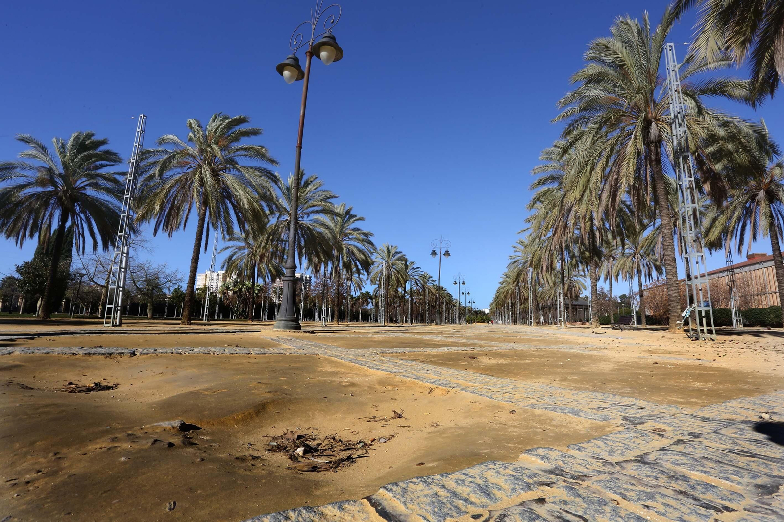 Albero en mal estado en el Hontoria