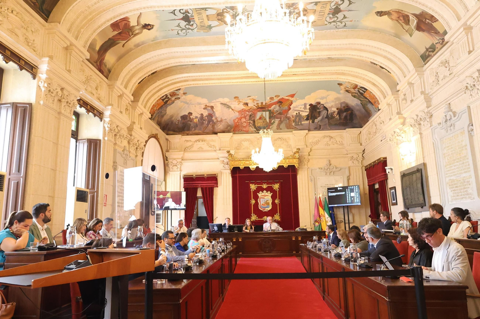 El pleno extraordinario sobre La Rosaleda y la renuncia al Mundial, en fotos