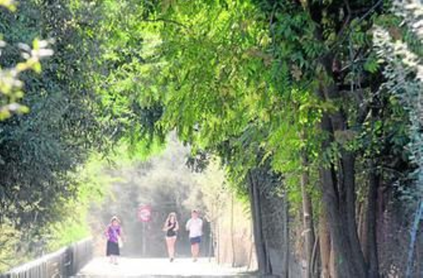 La Fuente de la Bicha, uno de los paseos más conocidos en la capital.