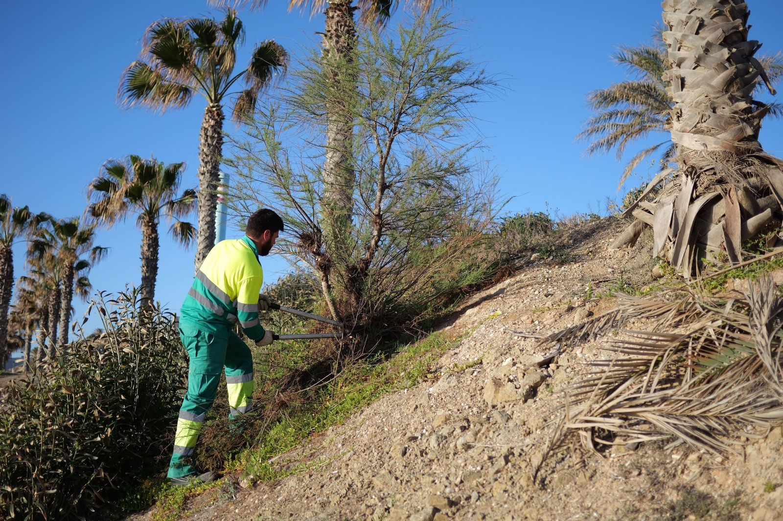 Trabajos de jardinería en Carboneras.