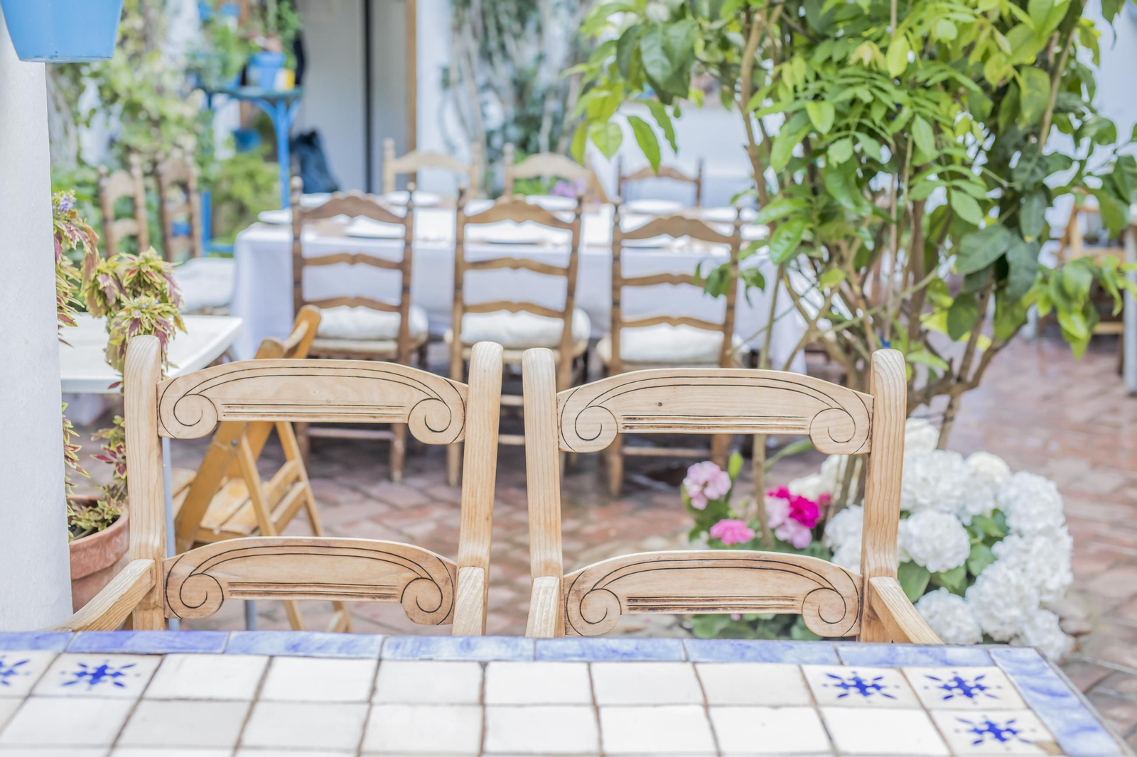 El patio de Córdoba donde es primavera todo el año, tiene galería de arte propia y se come de lujo
