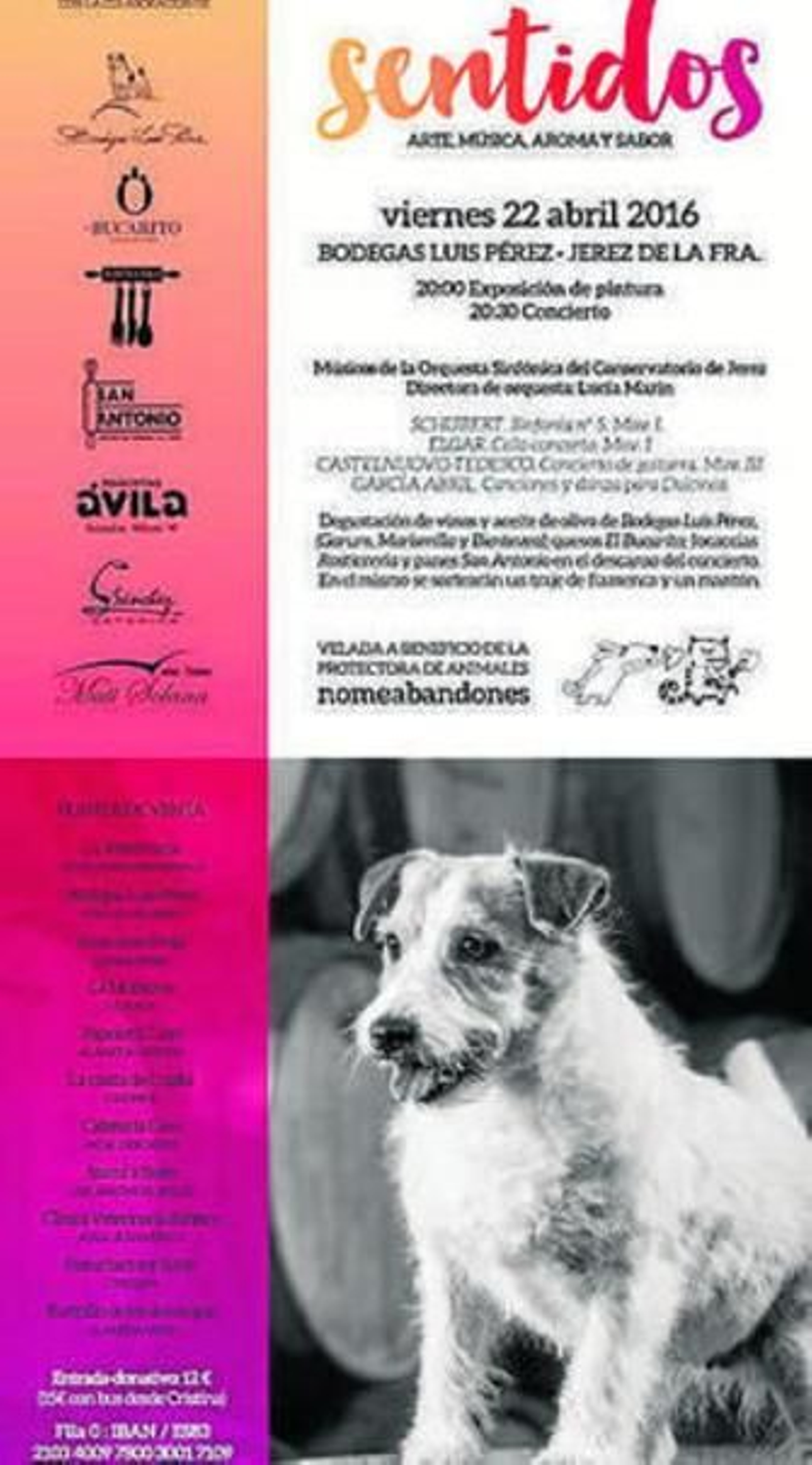 Concierto solidario de la protectora de animales 'No Me Abandones' el día 22 Concierto solidario de la protectora de animales 'No Me Abandones' el día 22