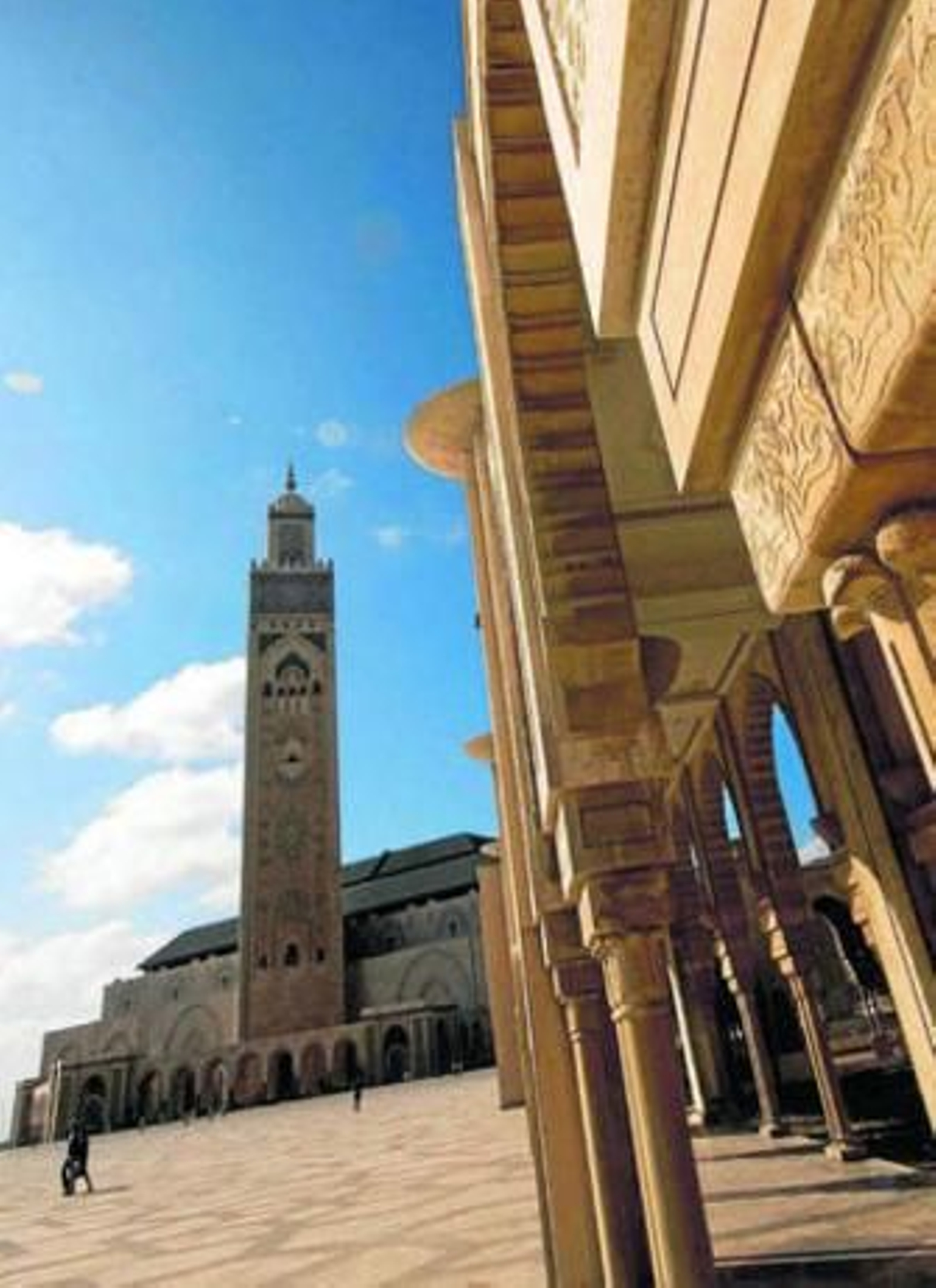 Las empresas granadinas abren fronteras en Marruecos.