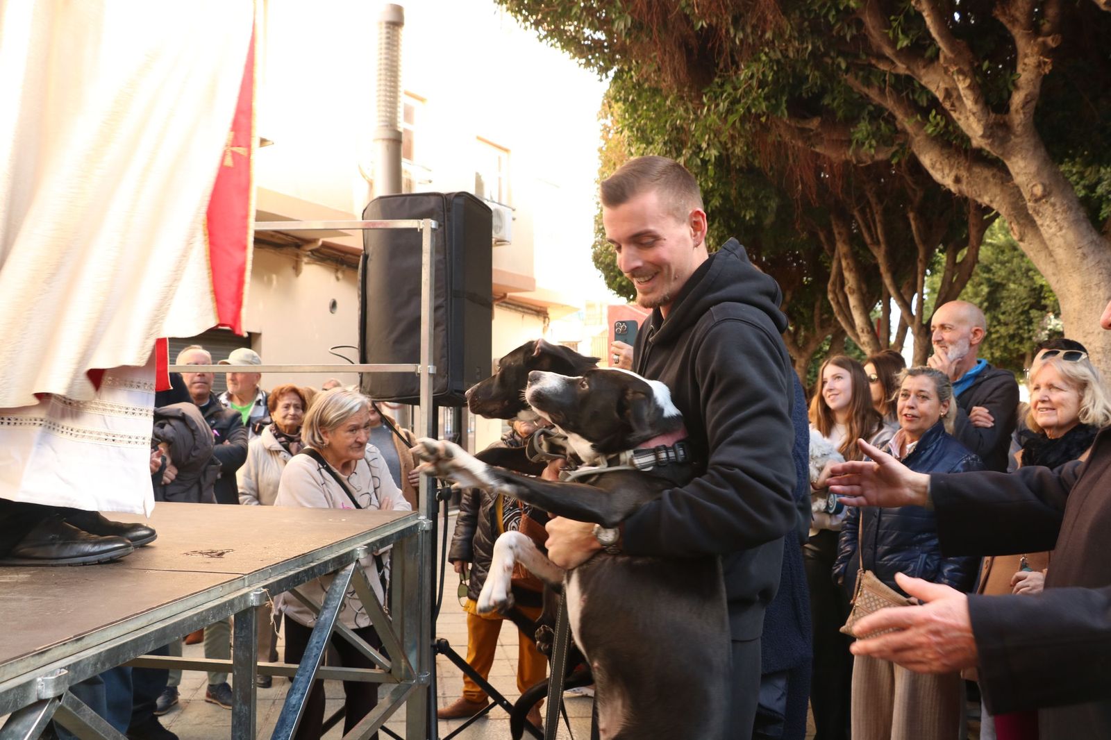 Así ha sido la bendición de las mascotas y la subasta de 'rabicos' en el casco histórico de Almería