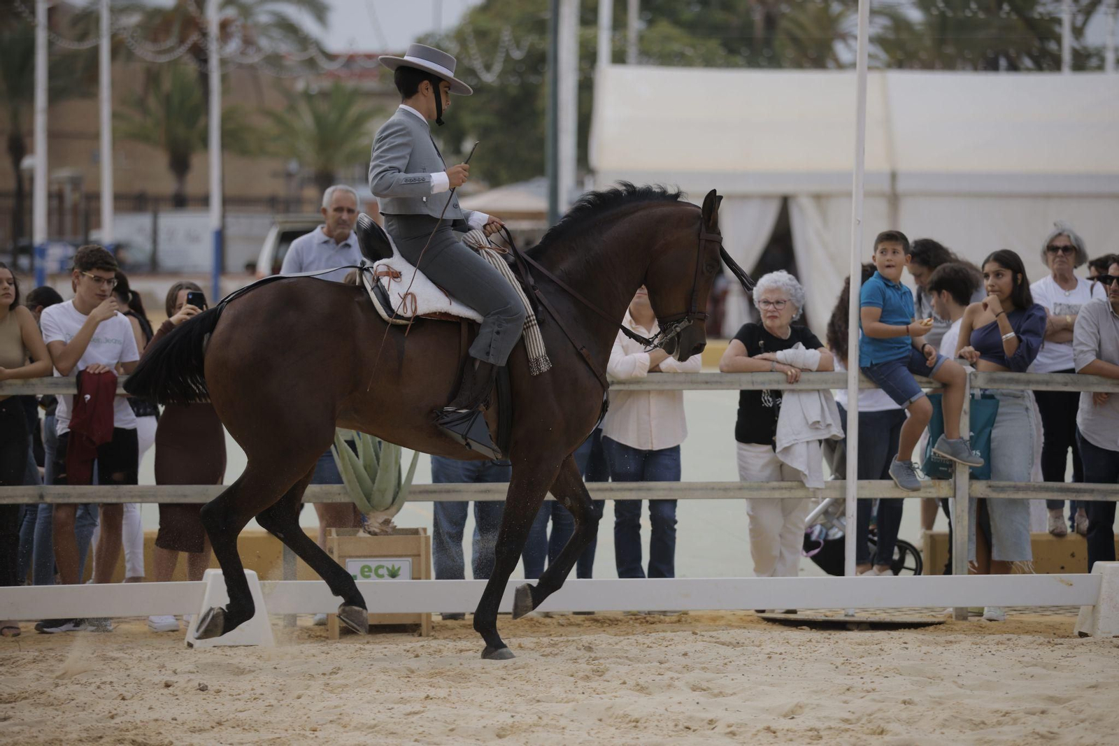 Feria del Caballo 2023: Así han sido las exhibiciones de las escuelas hípicas de Huelva