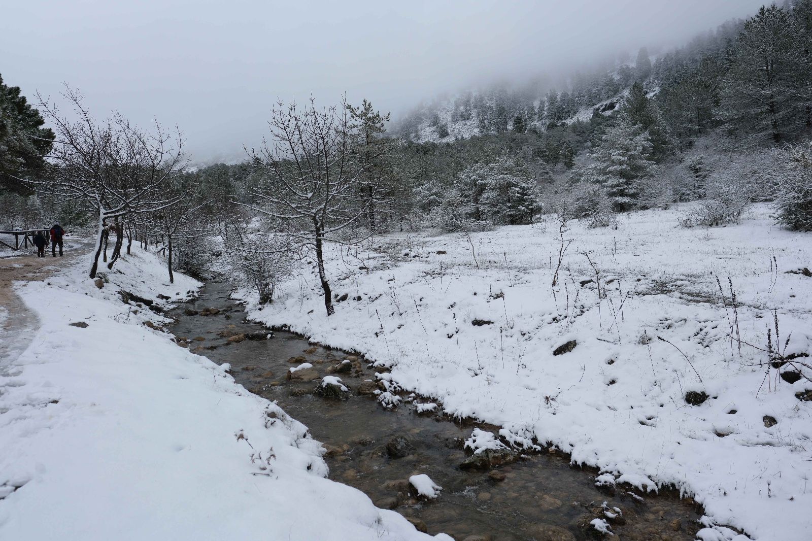 La nieve tiñe de blanco la Serranía de Ronda