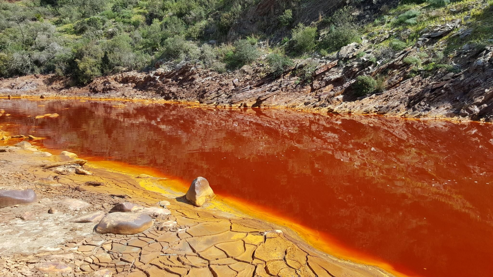 Descubre el río Tinto desde el tren minero Descubre el río Tinto desde el tren minero