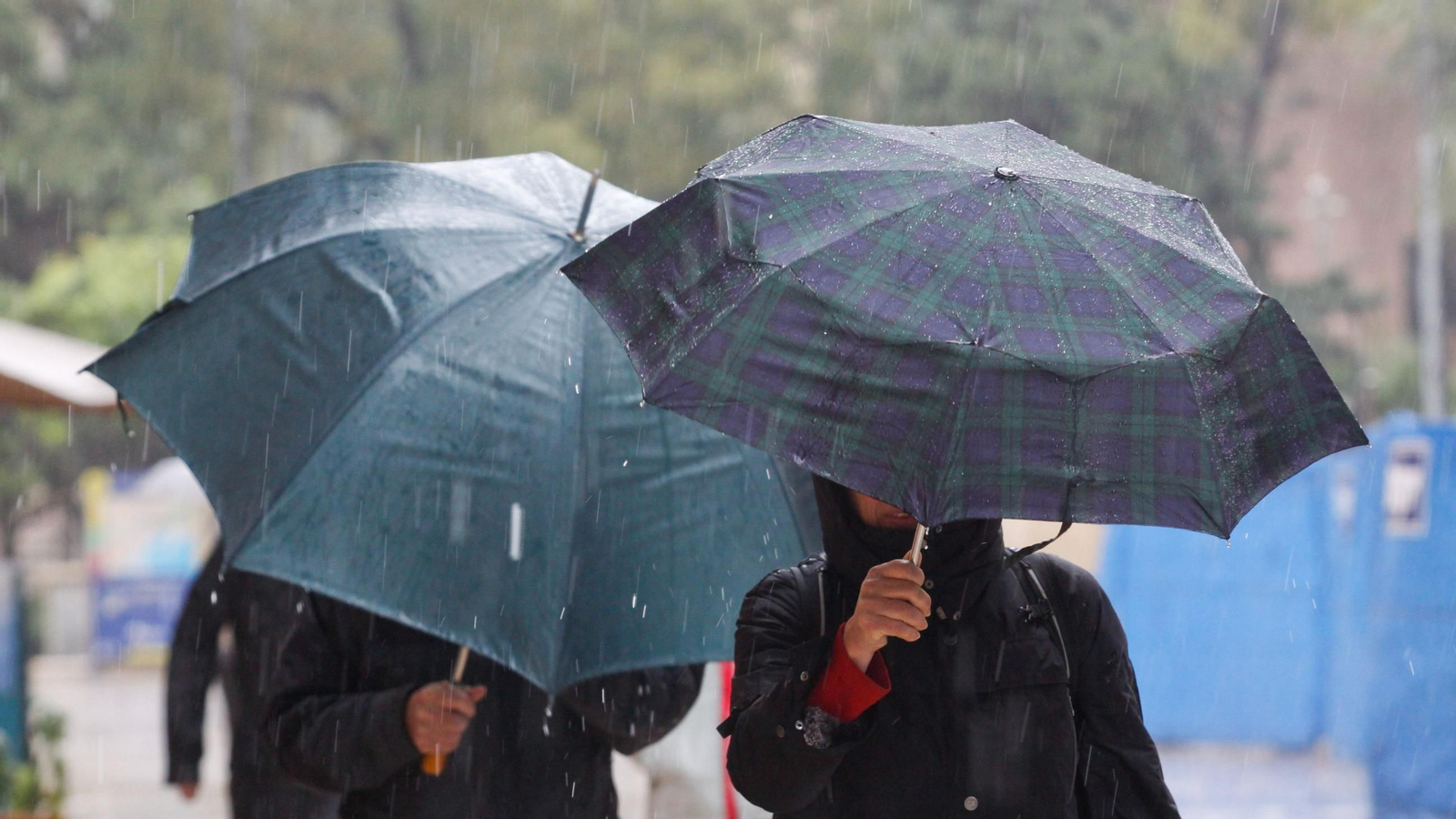 Paraguas en la lluvia de Málaga