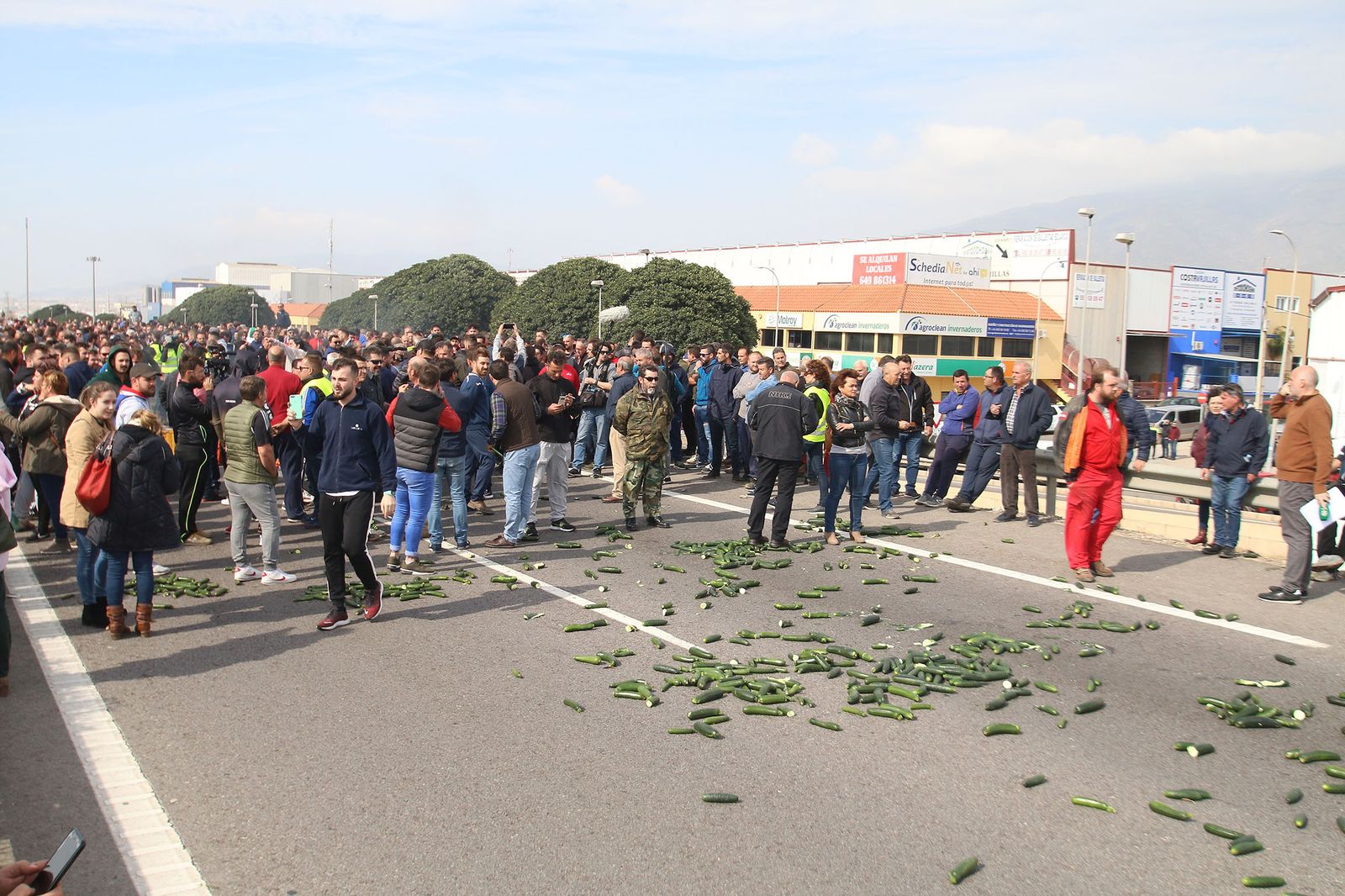 Las imágenes de la manifestación de agricultores