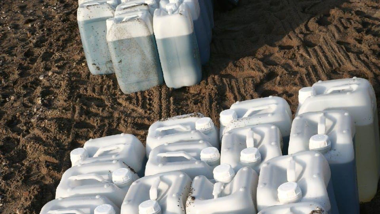 Petacas en la playa de Vera.