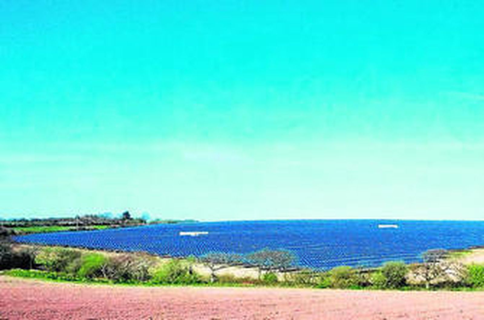 Planta fotovoltaica en Tiers Cross, al suroeste de Gales.