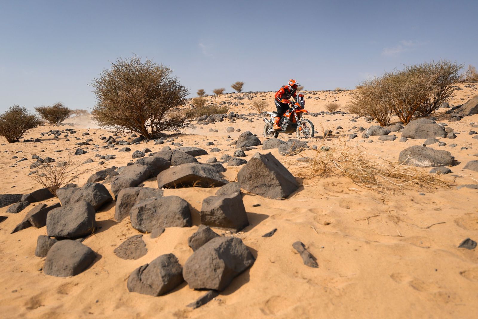 Las mejores fotos del Rally Dakar | undécima etapa