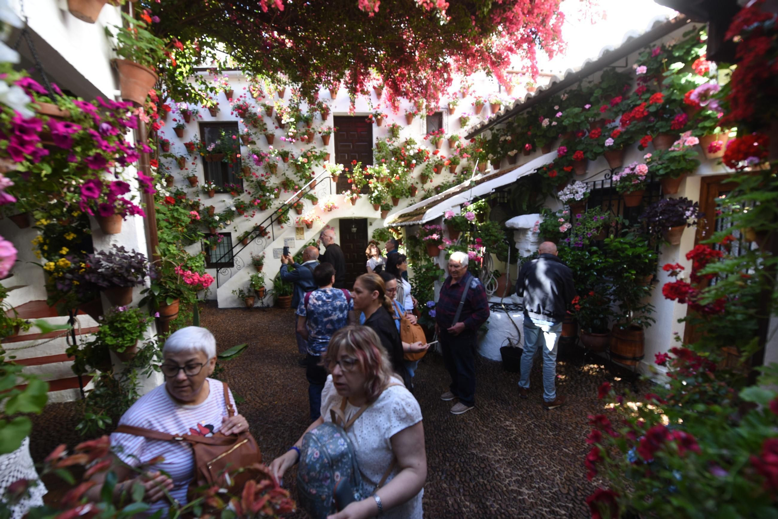 Los Patios de Córdoba de la Ruta del Alcázar Viejo, en imágenes