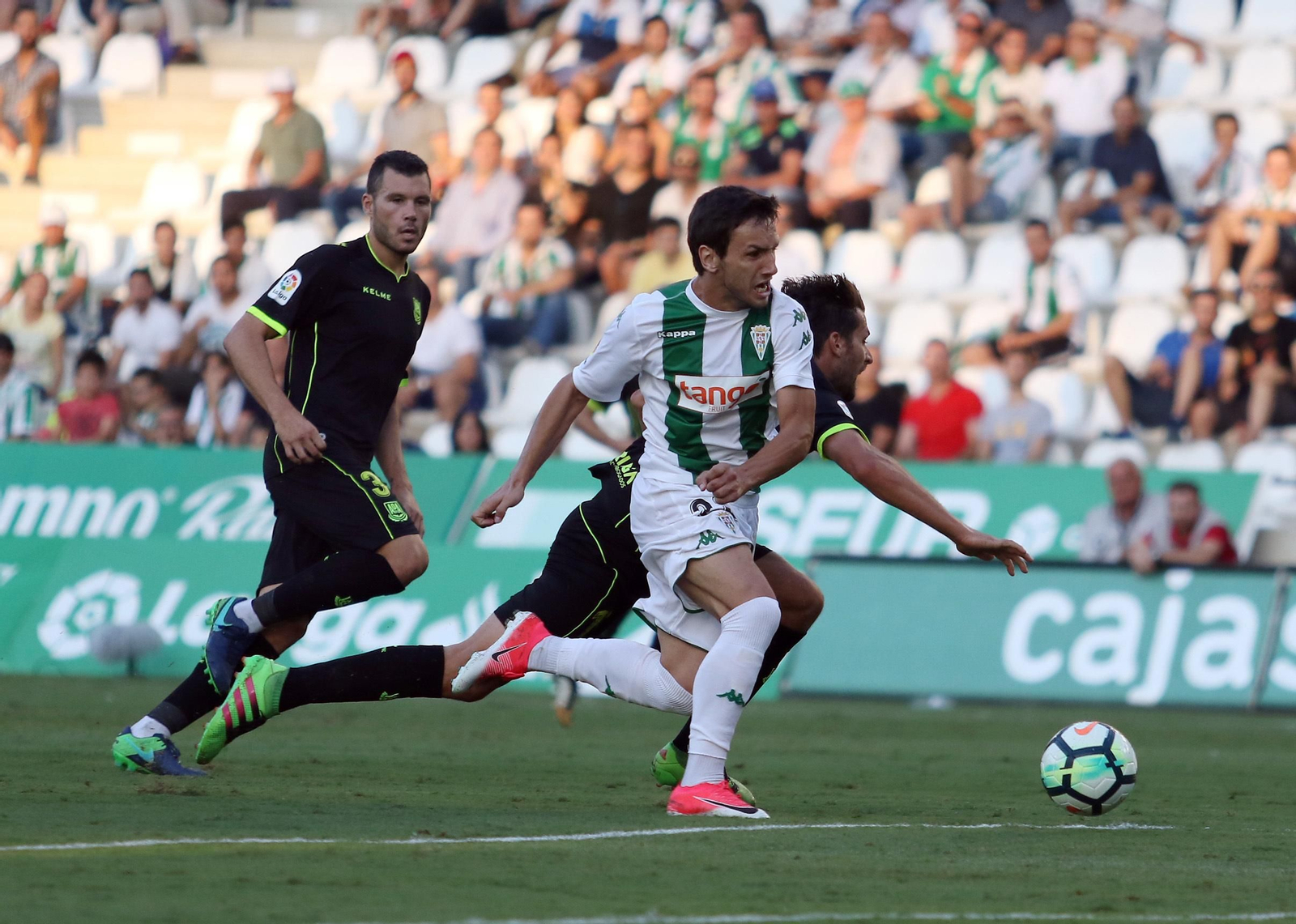 Las imágenes del Córdoba-Alcorcón