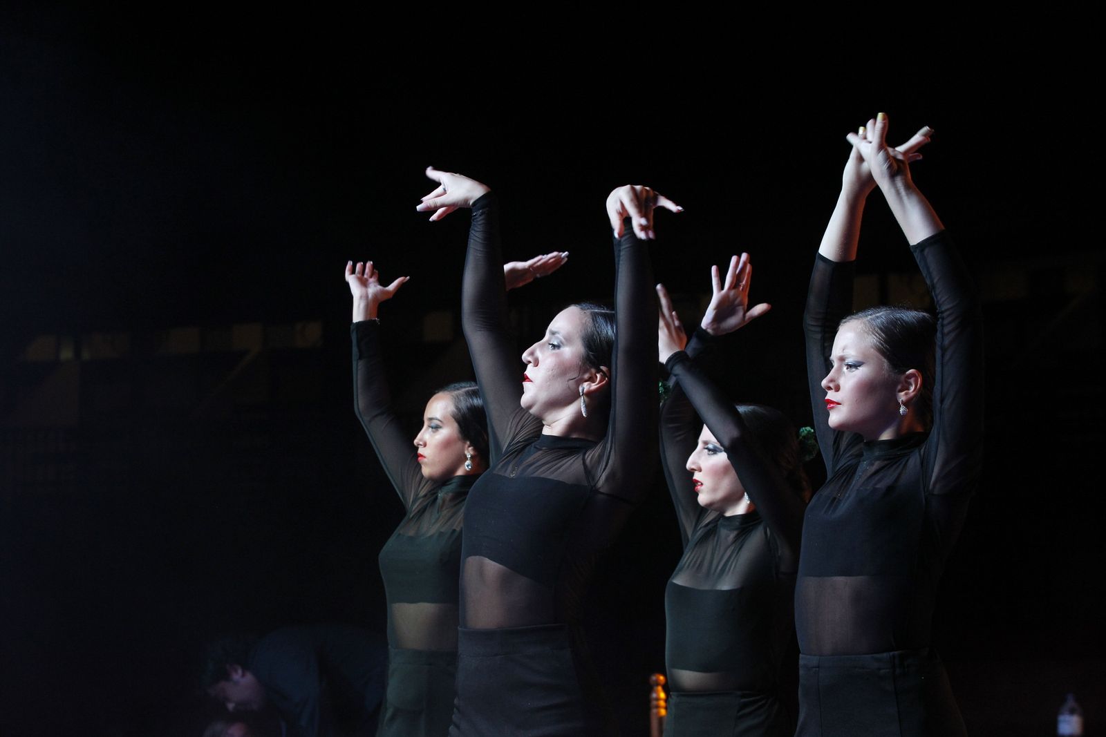 Fotogalería presentación carteles Feria Taurina Roquetas de Mar 2019