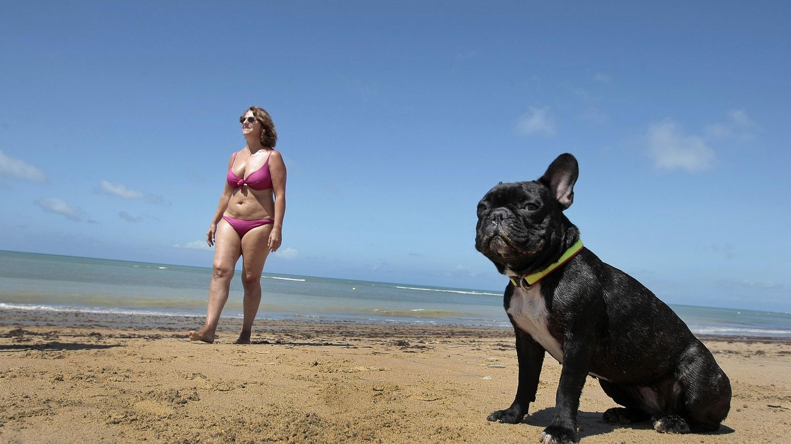 Un bulldog francés, con su propietaria, en una playa de Rota. Un bulldog francés, con su propietaria, en una playa de Rota.