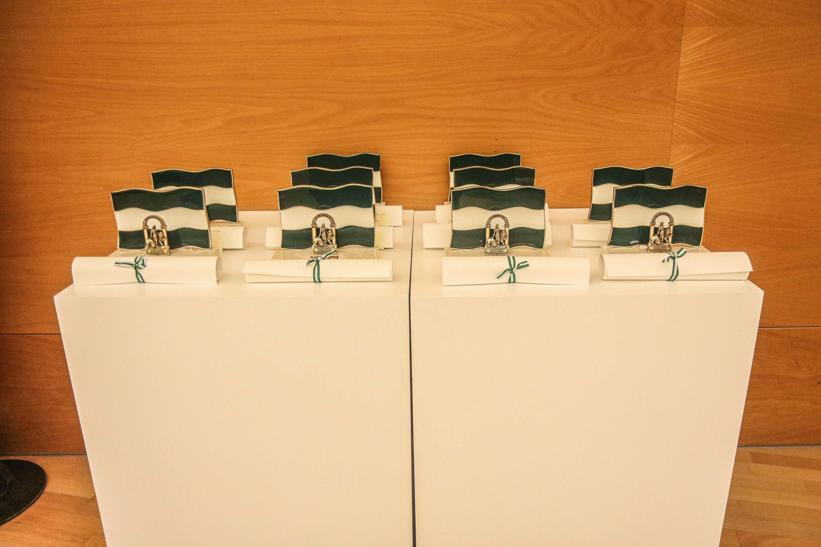 La entrega de las Banderas de Andalucía 2024, en imágenes