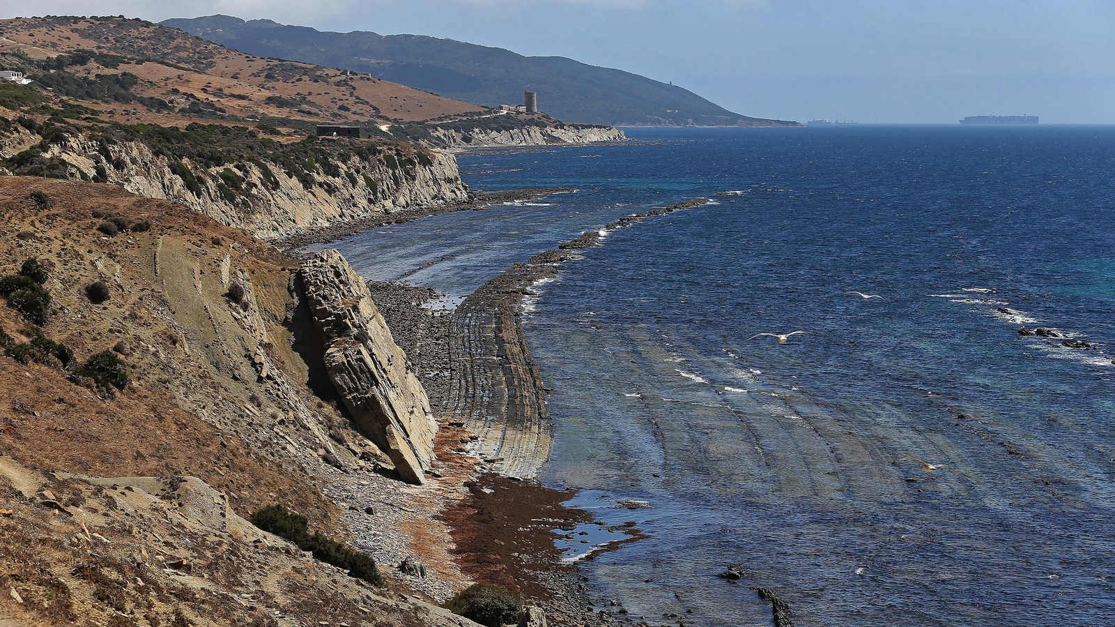 Las mejores fotos del sendero de la Colada de la Costa en Tarifa