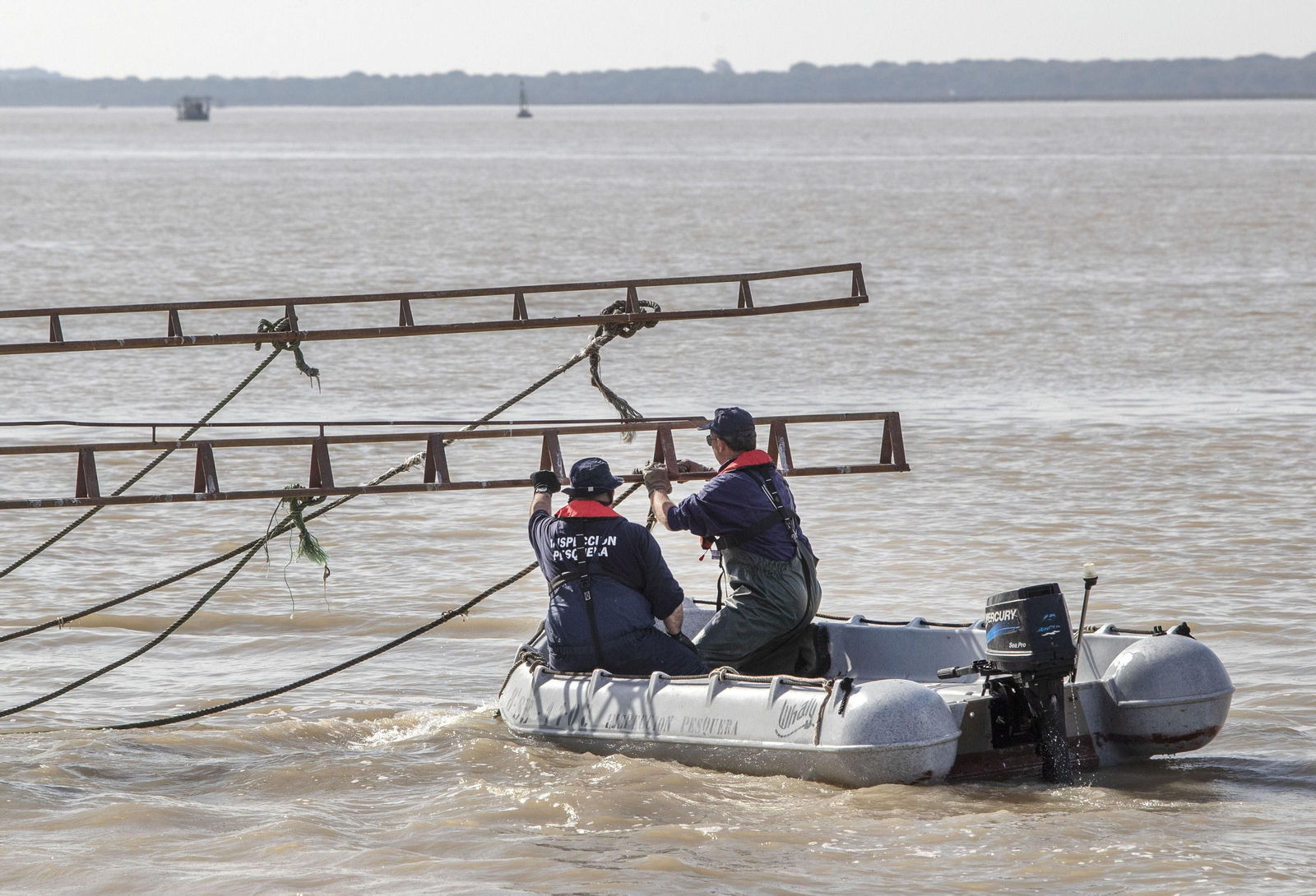 Operación Ave  fenix contra la pesca  de la angula