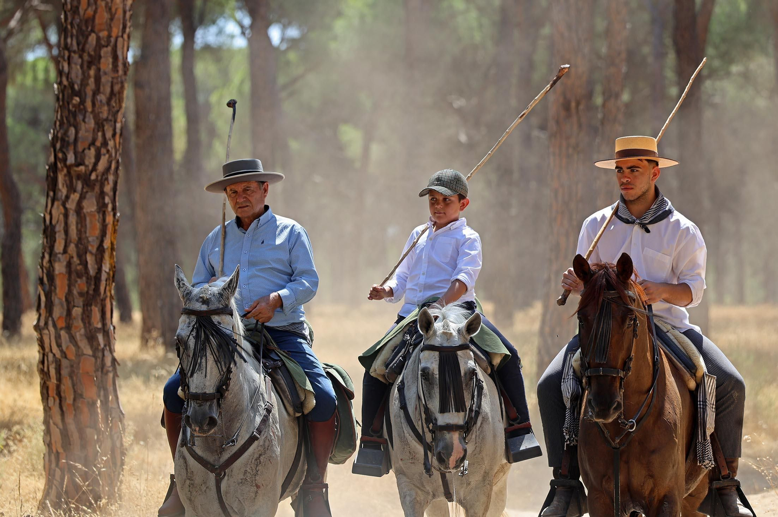 Las mejores imágenes de la Saca de las Yeguas 2025