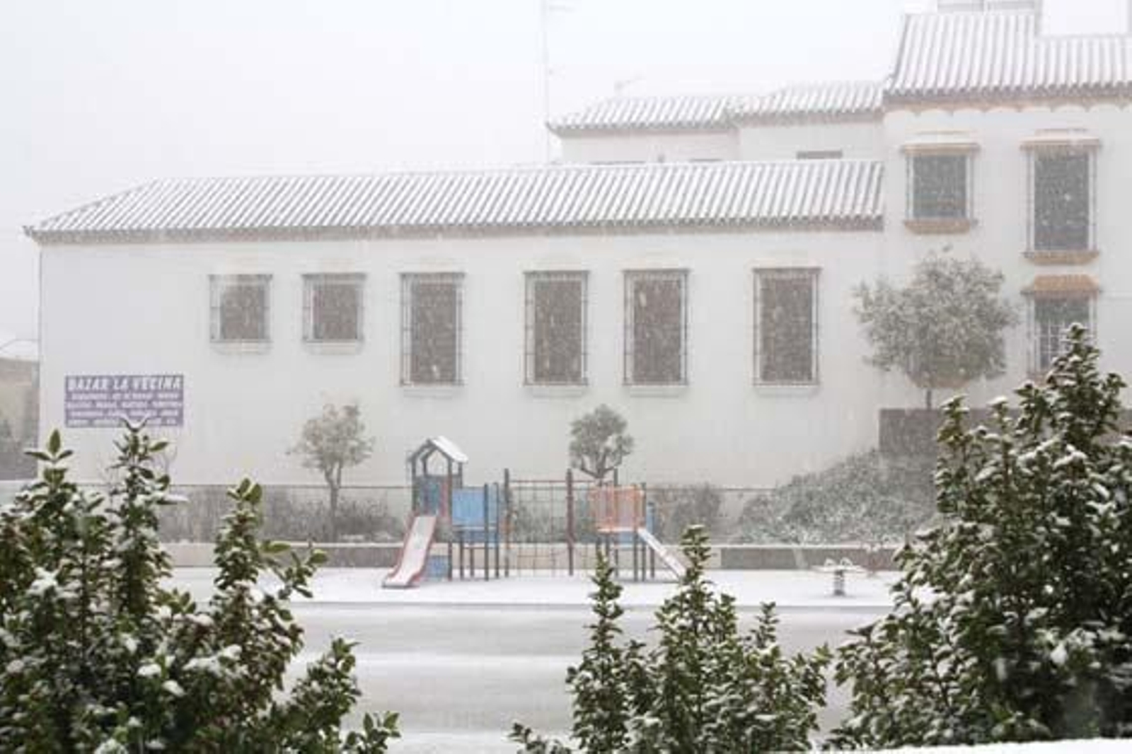 Foto: Carlos Muñoz, Edu, Auxi Nuevo, José Puerto