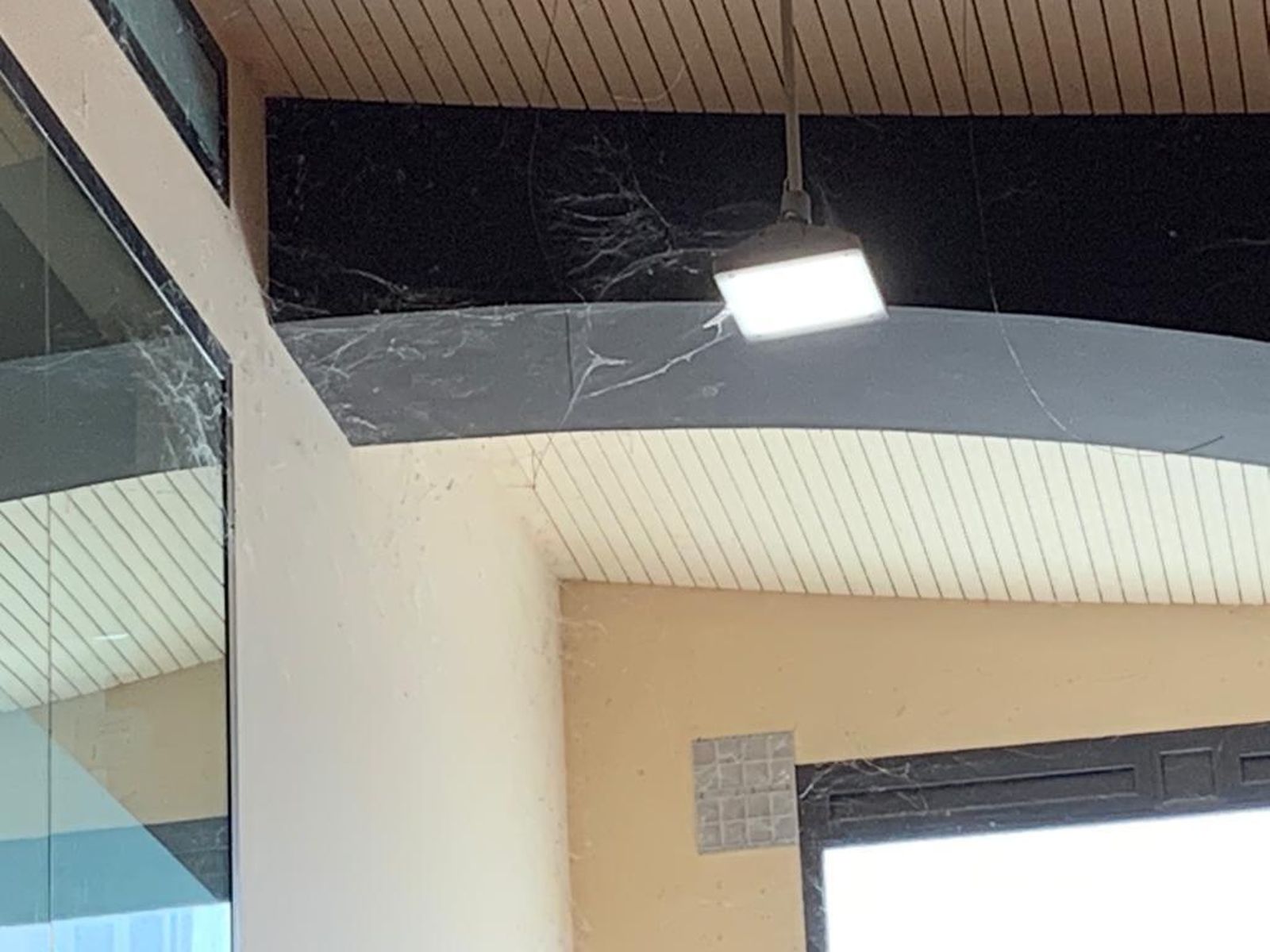 Imagen cedida por los populares en la que se aprecian telarañas.