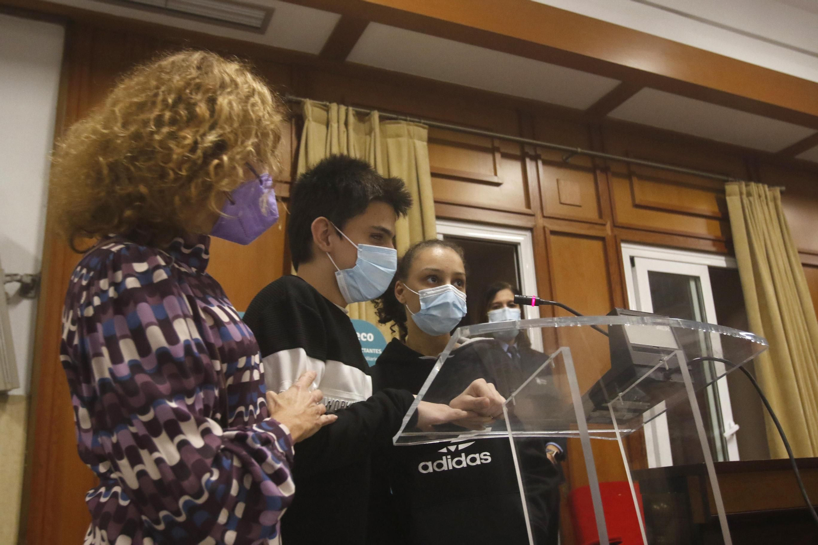 Pleno extraordinario por el Día Internacional de la Eliminación de la Violencia contra la Mujer.