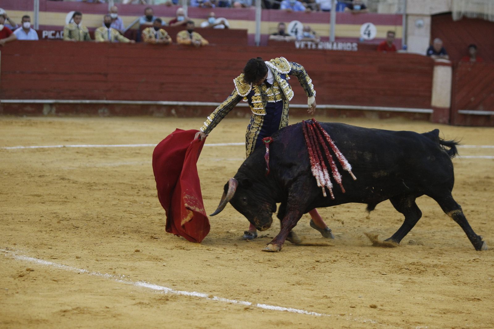 Fotogalería segunda corrida de toros Feria de Almeria 2021