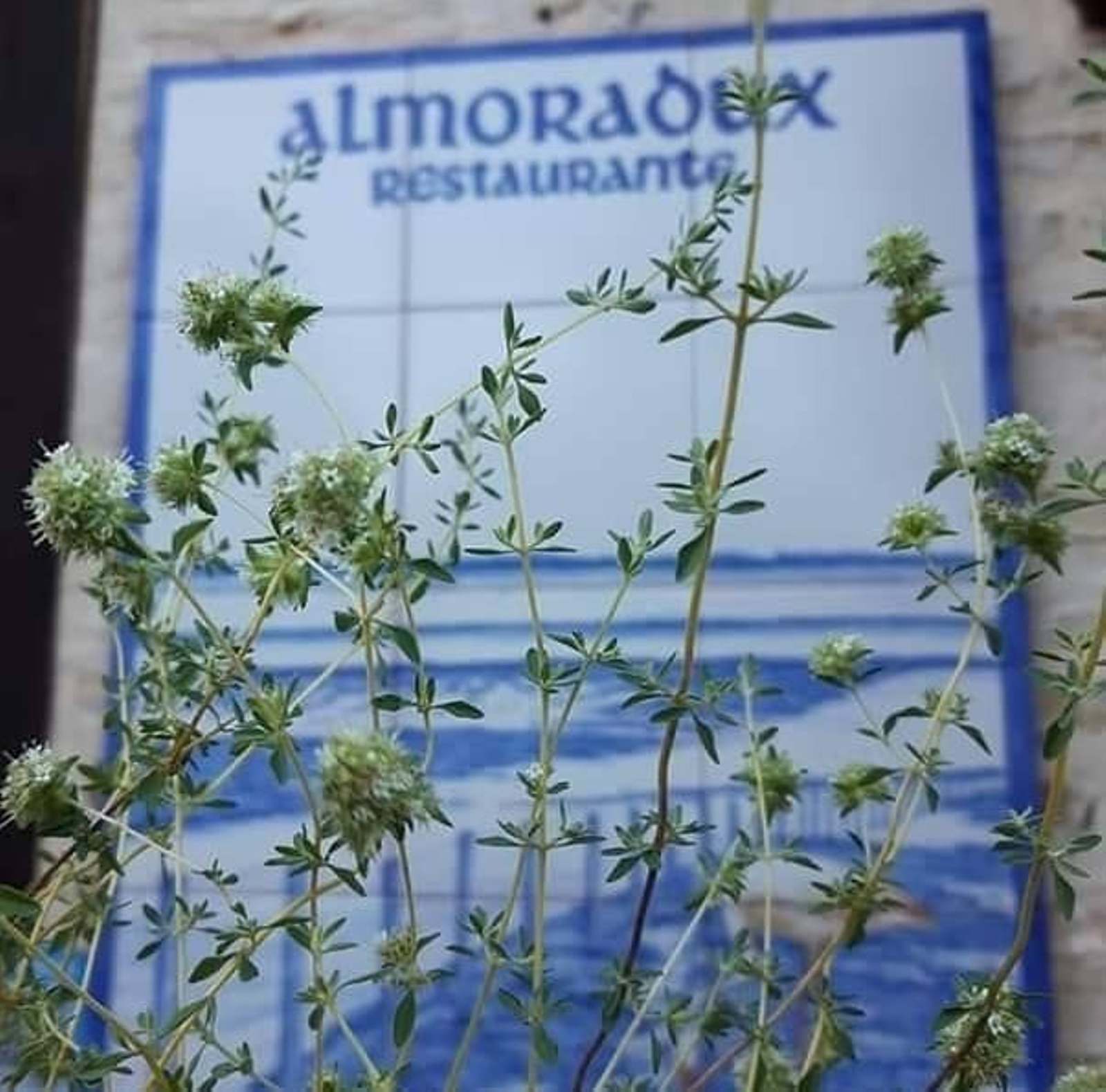 Restaurante Almoradux: la mejor gastronomía en plena naturaleza